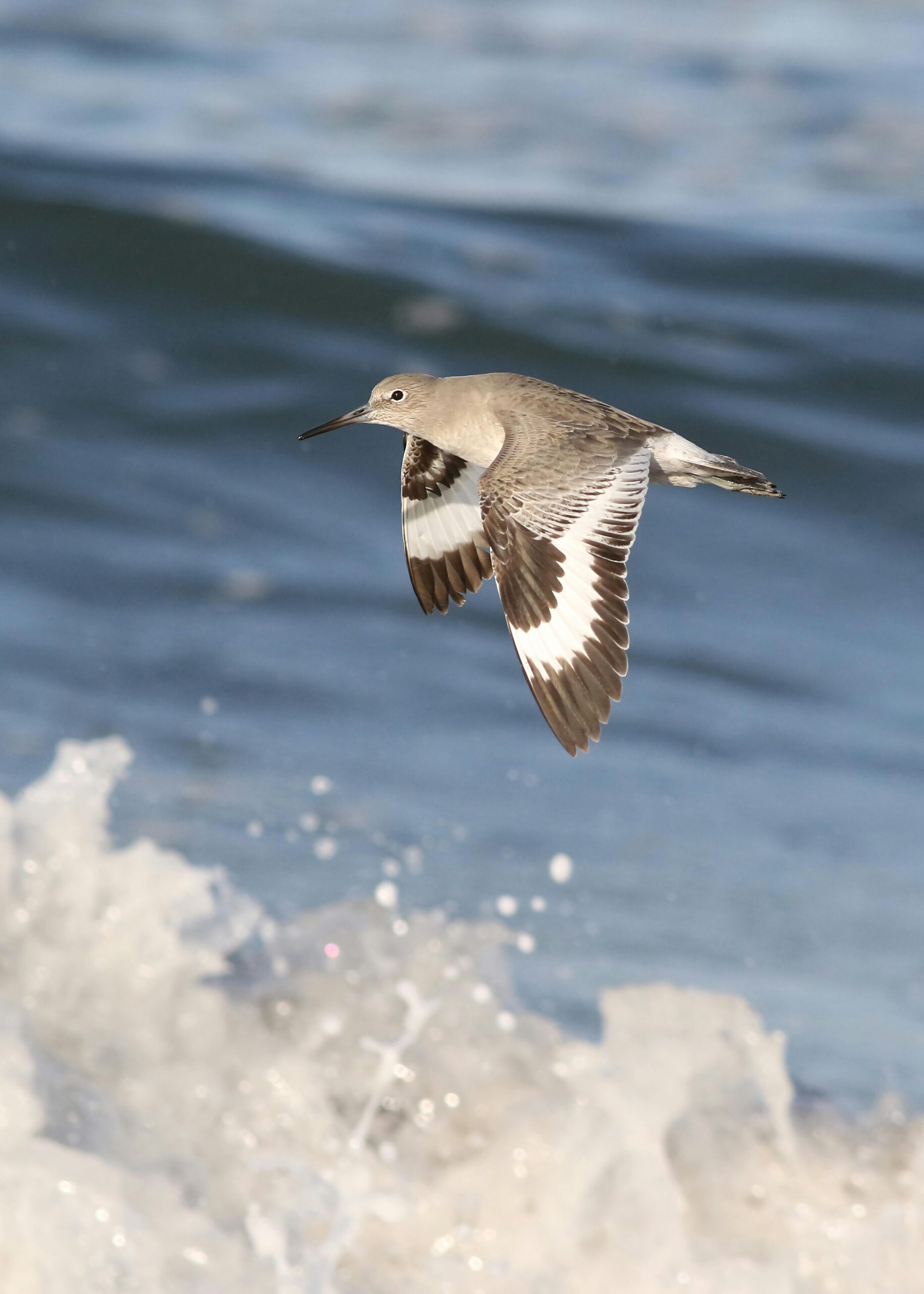 pexels-dkeats-33269818