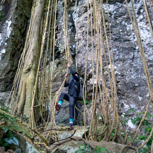 pexels-quang-nguyen-vinh-222549-14020664